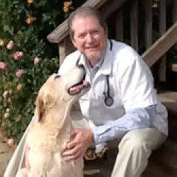 testimonials: Foster Animal Hospital